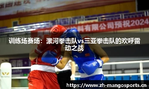 训练场赛场：漯河拳击队vs三亚拳击队的欢呼雷动之战